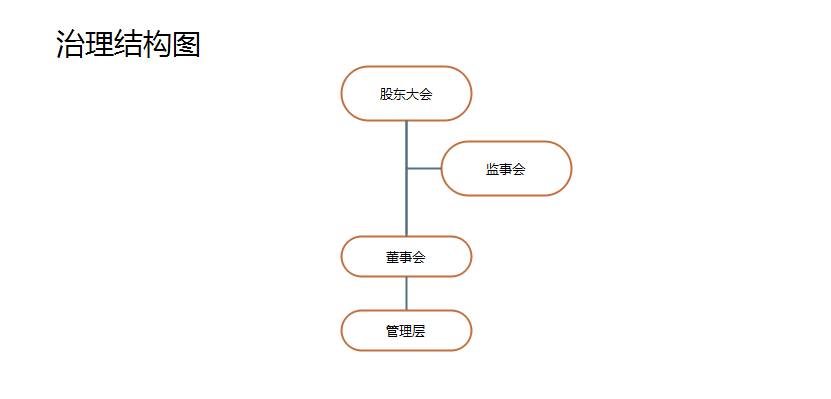 公司治理结构图